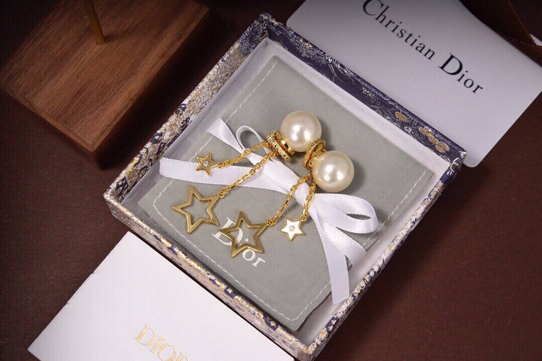Chr1st1an D10r Earring Copy