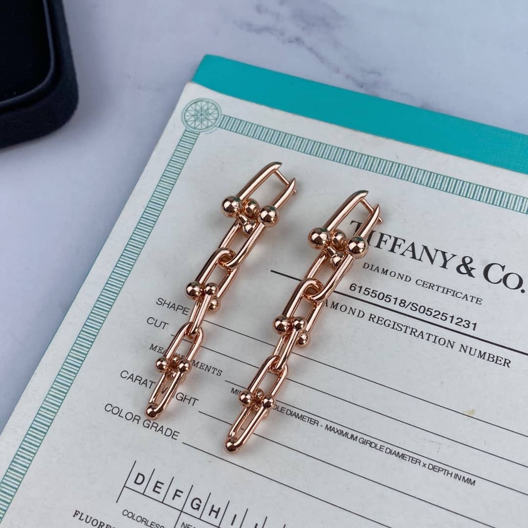 Luxury T*f*ny Classic AAA+ Earring