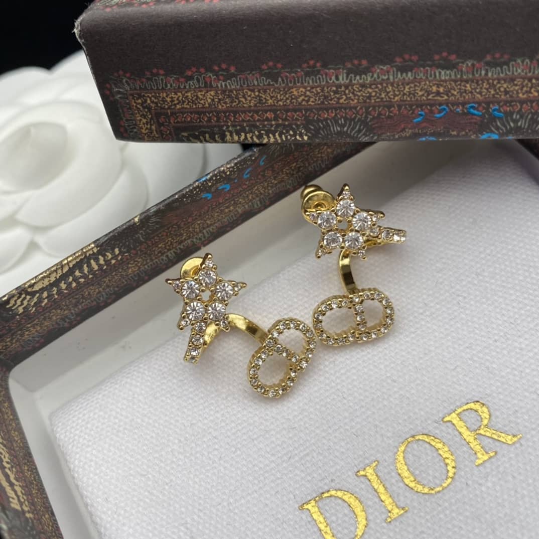 Fake Chr1st1an D10r Logo Earring