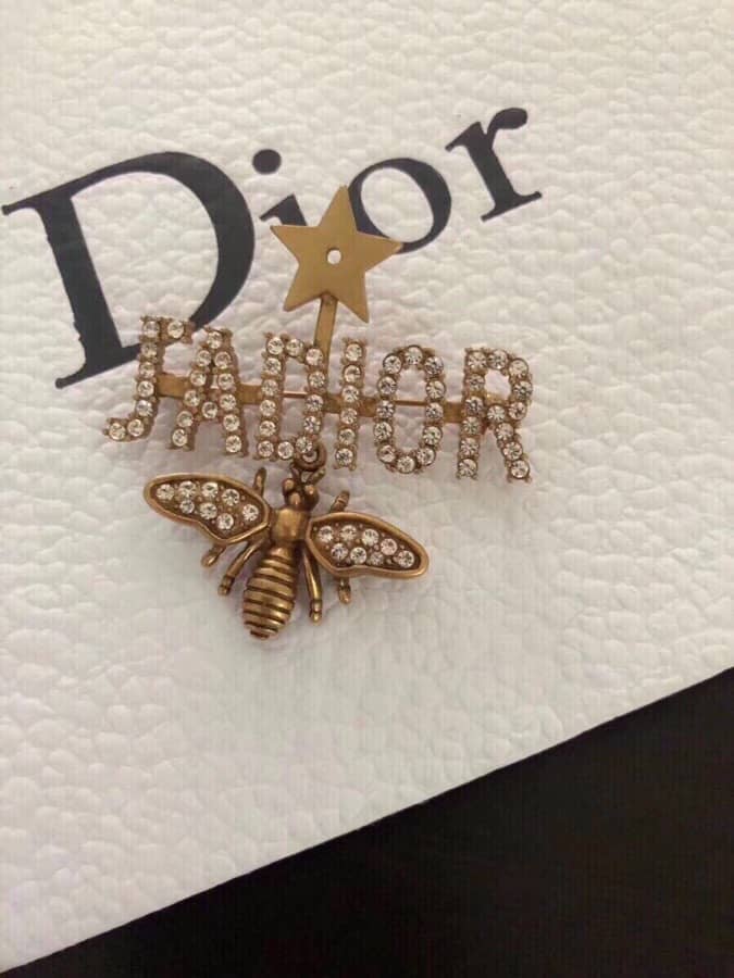 Fake Chr1st1an D10r Logo Brooch