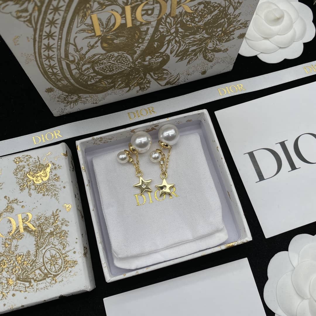 Fake Chr1st1an D10r Logo Earring