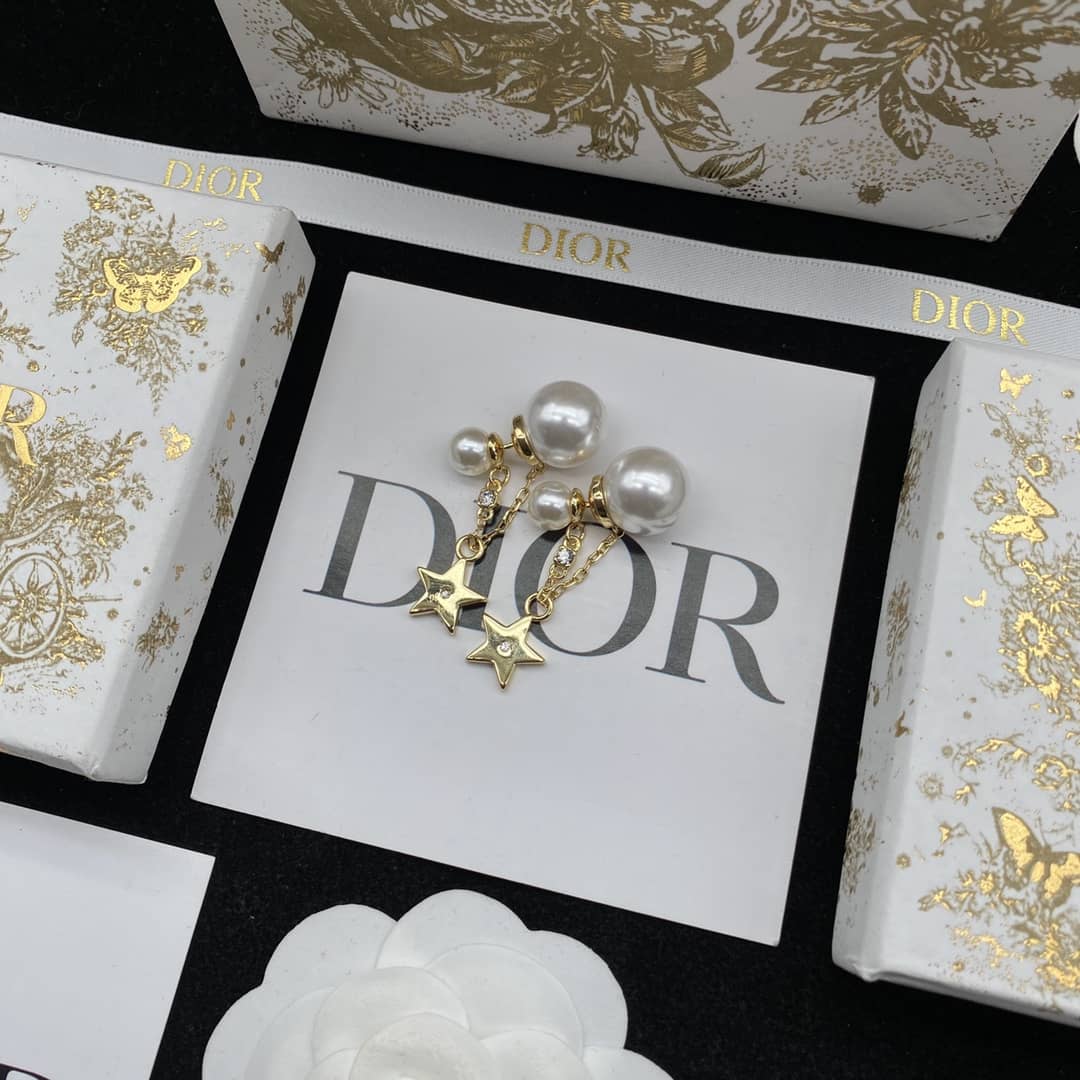 Fake Chr1st1an D10r Logo Earring
