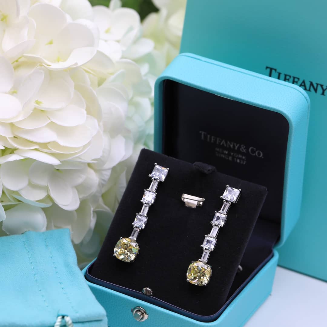 Fake T*f*ny Logo Earring