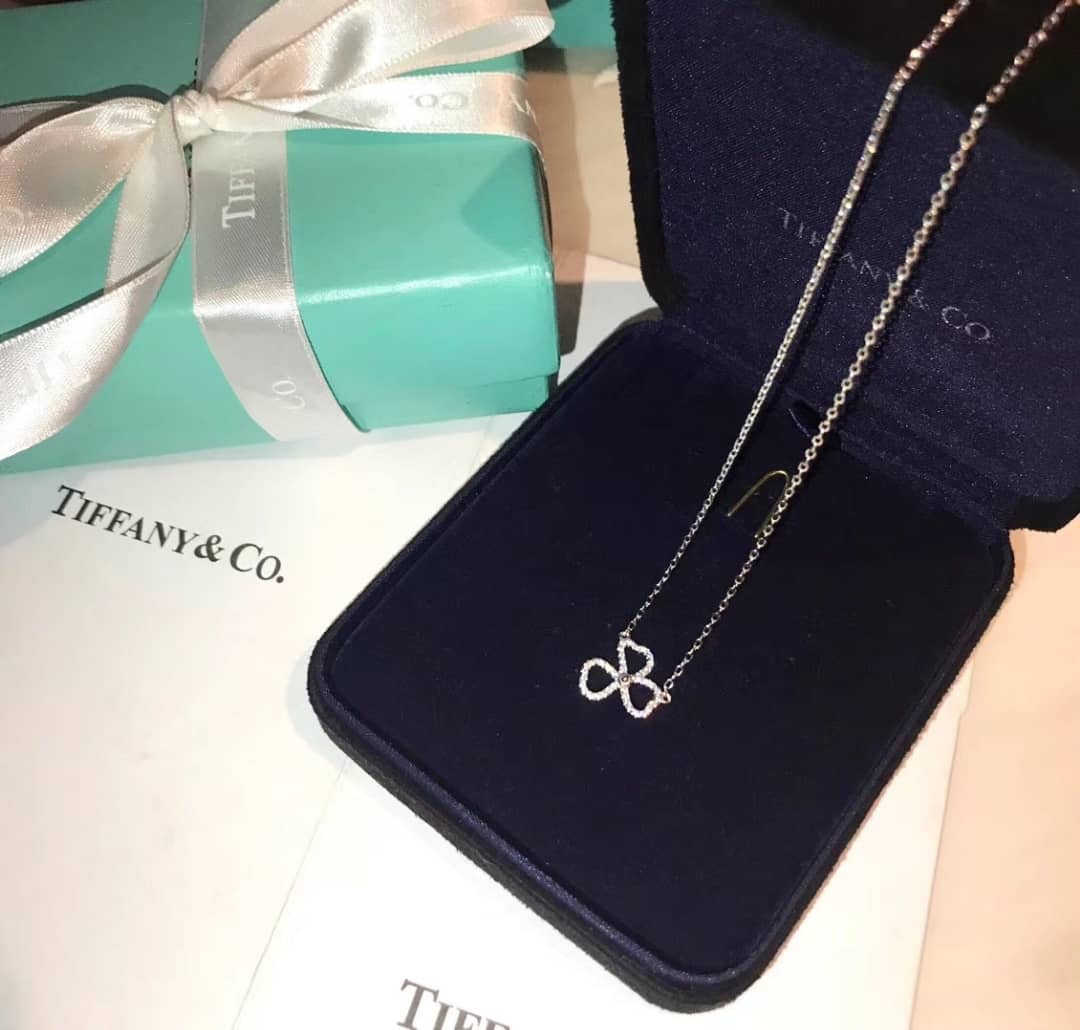 T*f*ny Necklace Copy