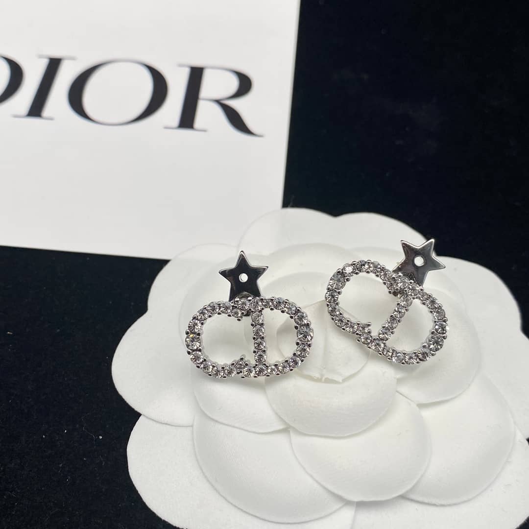 Fake Chr1st1an D10r Logo Earring
