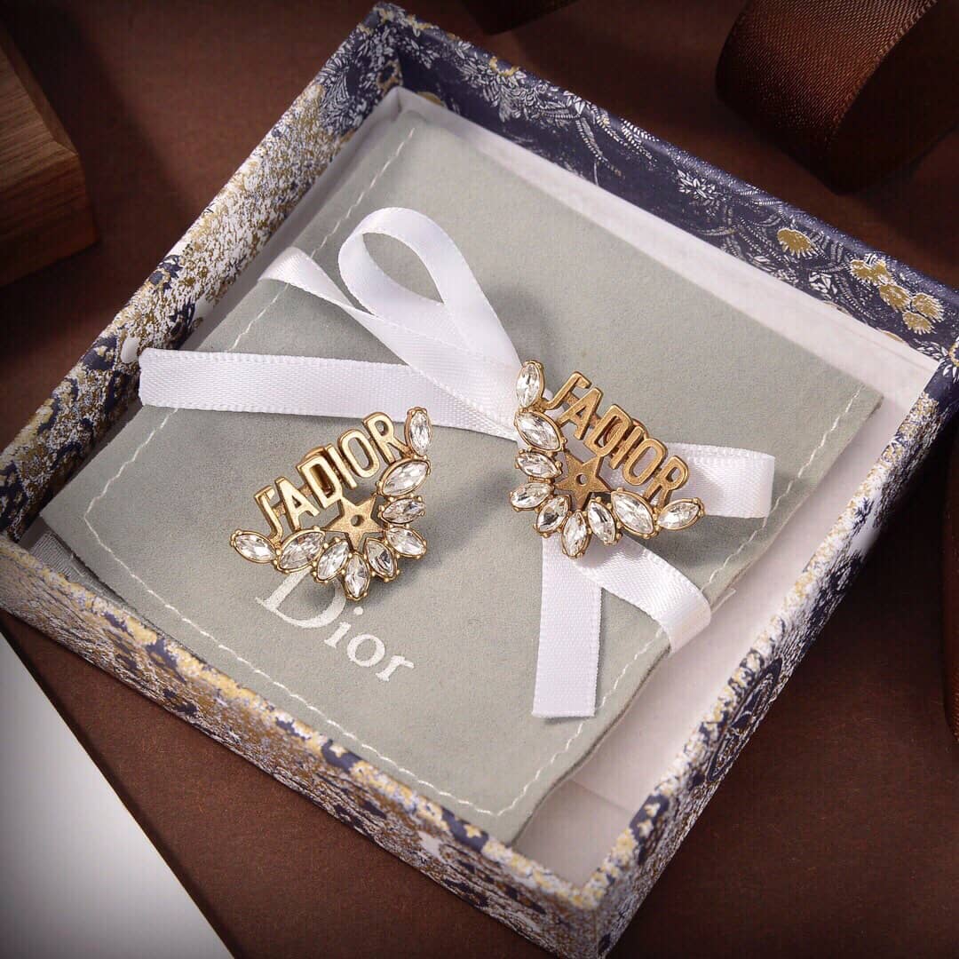 Wholesale Chr1st1an D10r Logo Earring