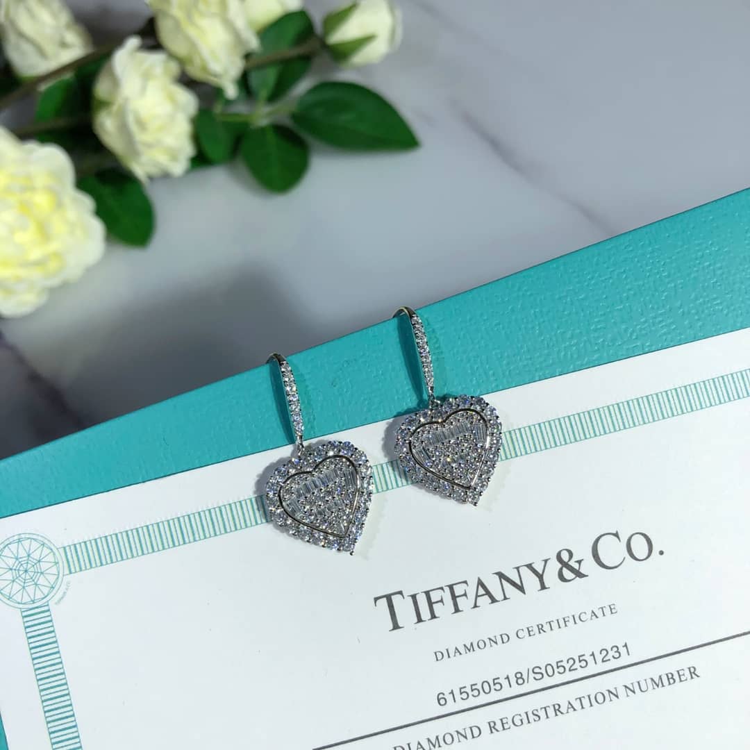Luxury T*f*ny Classic AAA+ Earring