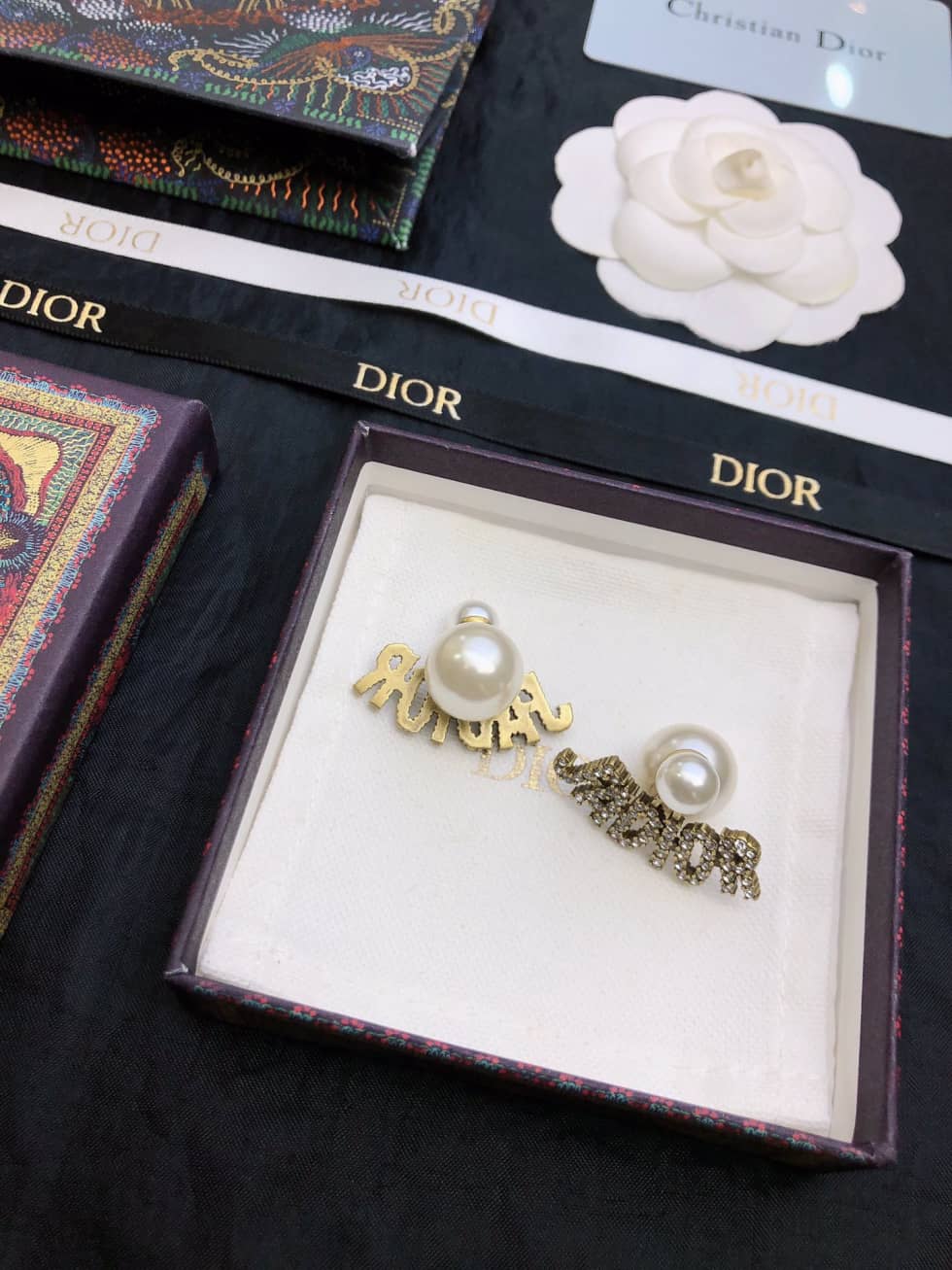 Fake Chr1st1an D10r Logo Earring