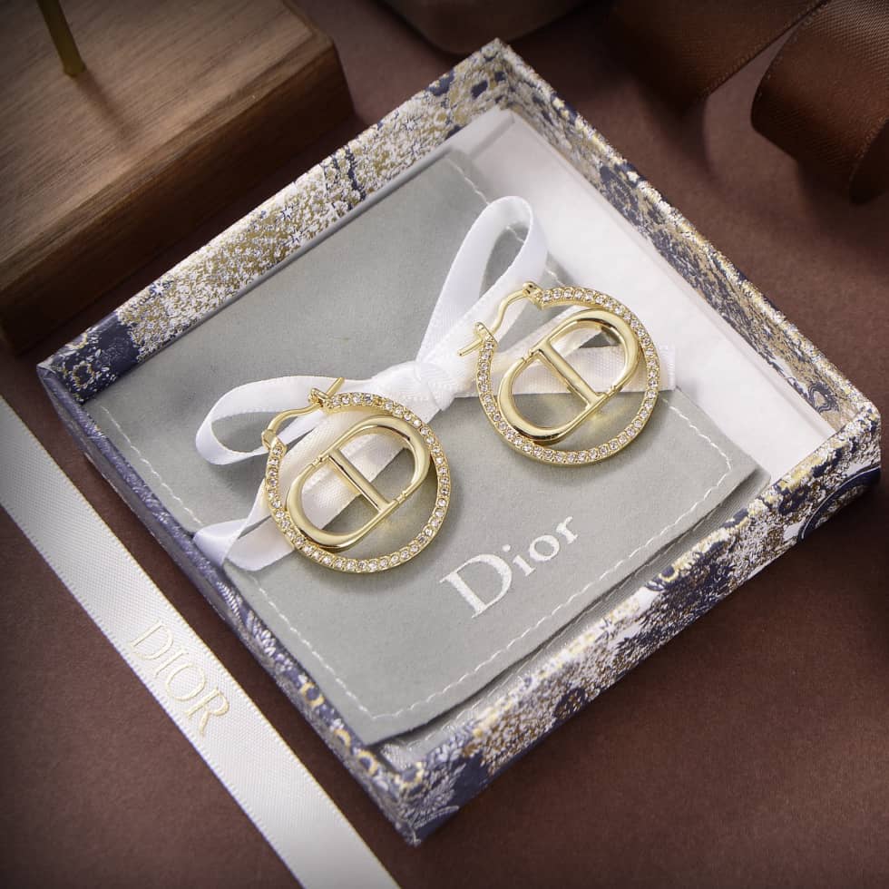 Luxury Chr1st1an D10r Classic AAA+ Earring