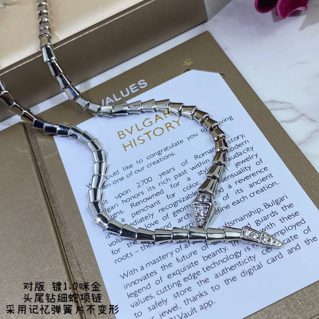 Fake Bv1g*ai Logo Necklace