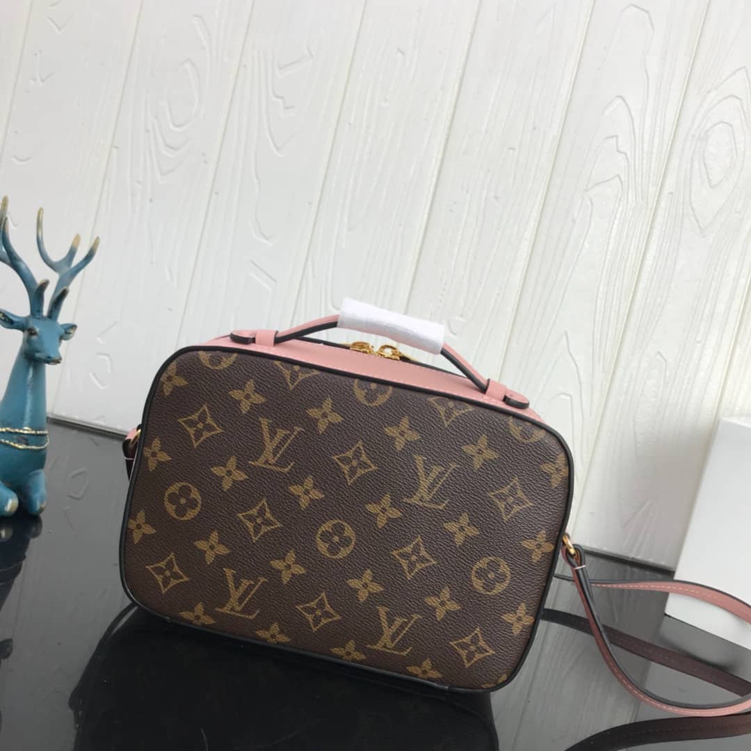 L0vis Vvtt0n Canvas Saintonge Replica Camera Bag Pink M43555