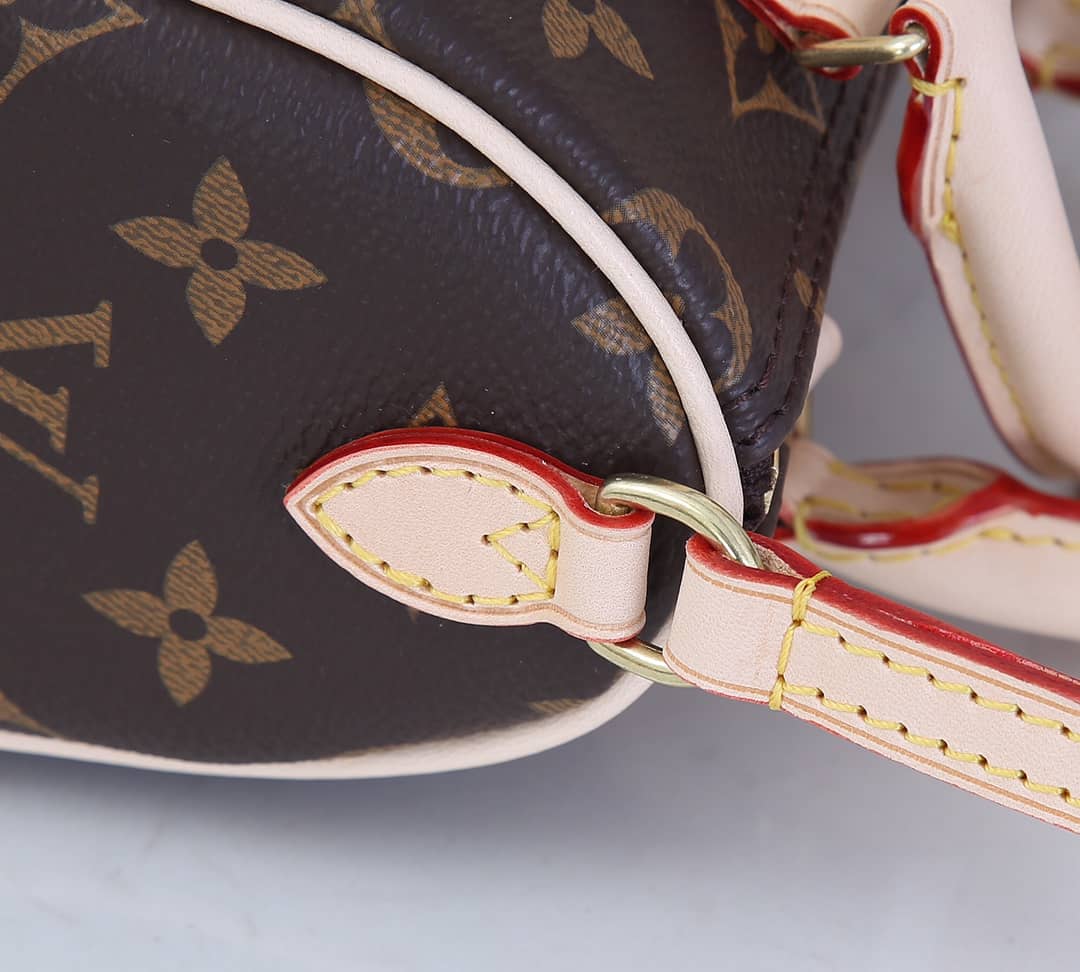 L0vis Vvtt0n Nano Speedy Monogram Canvas Replica Crossbody Bag M61252