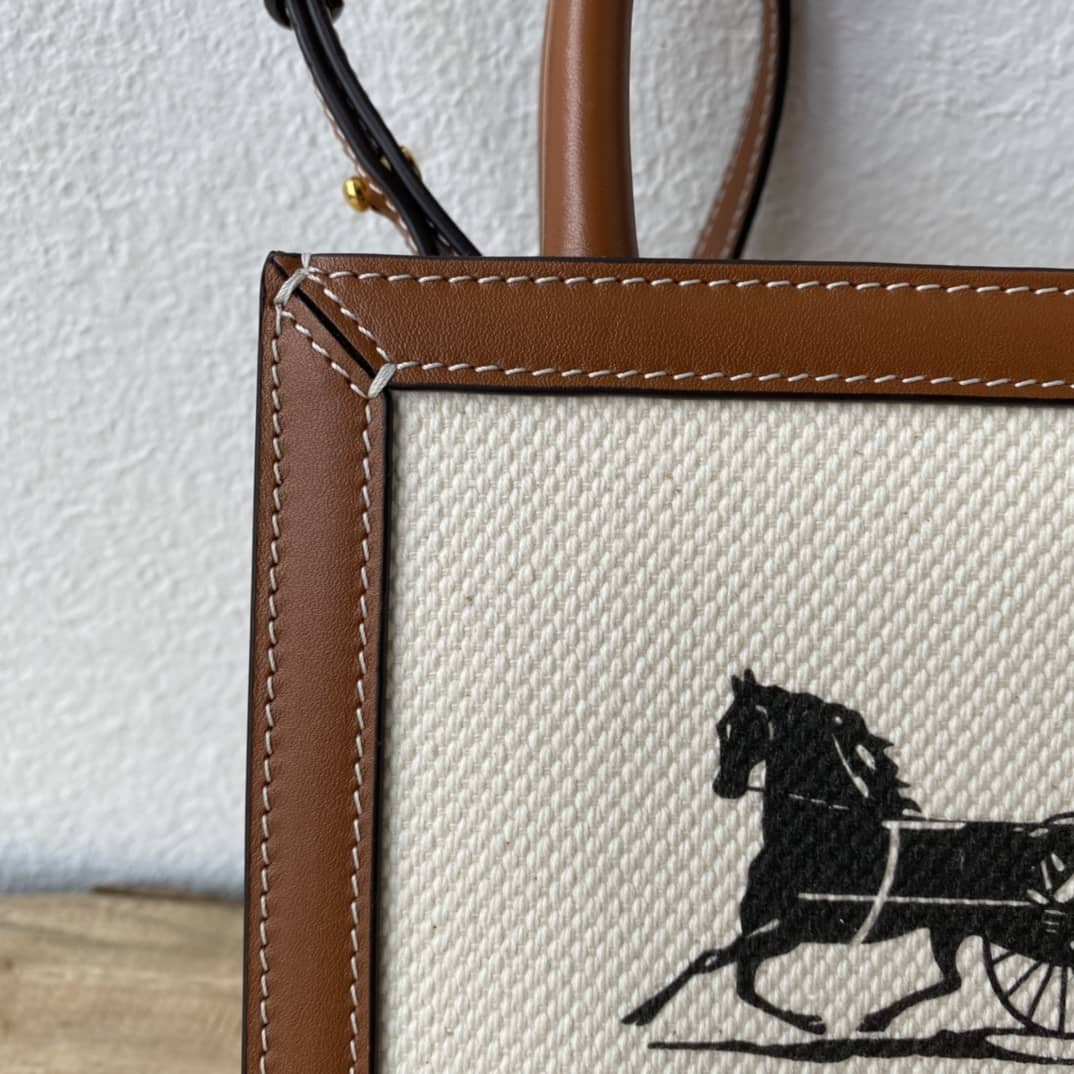 Ce1i*e Dupe  Triomphe Canvas Calfskin Mini Vertical Cabas Replica Bag