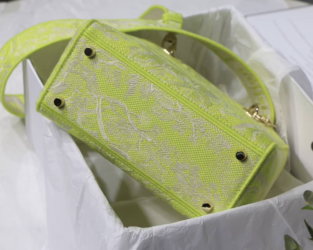 Lady D10r Dupe 24CM Paisley Embroidery Lady D-Lite Bag
