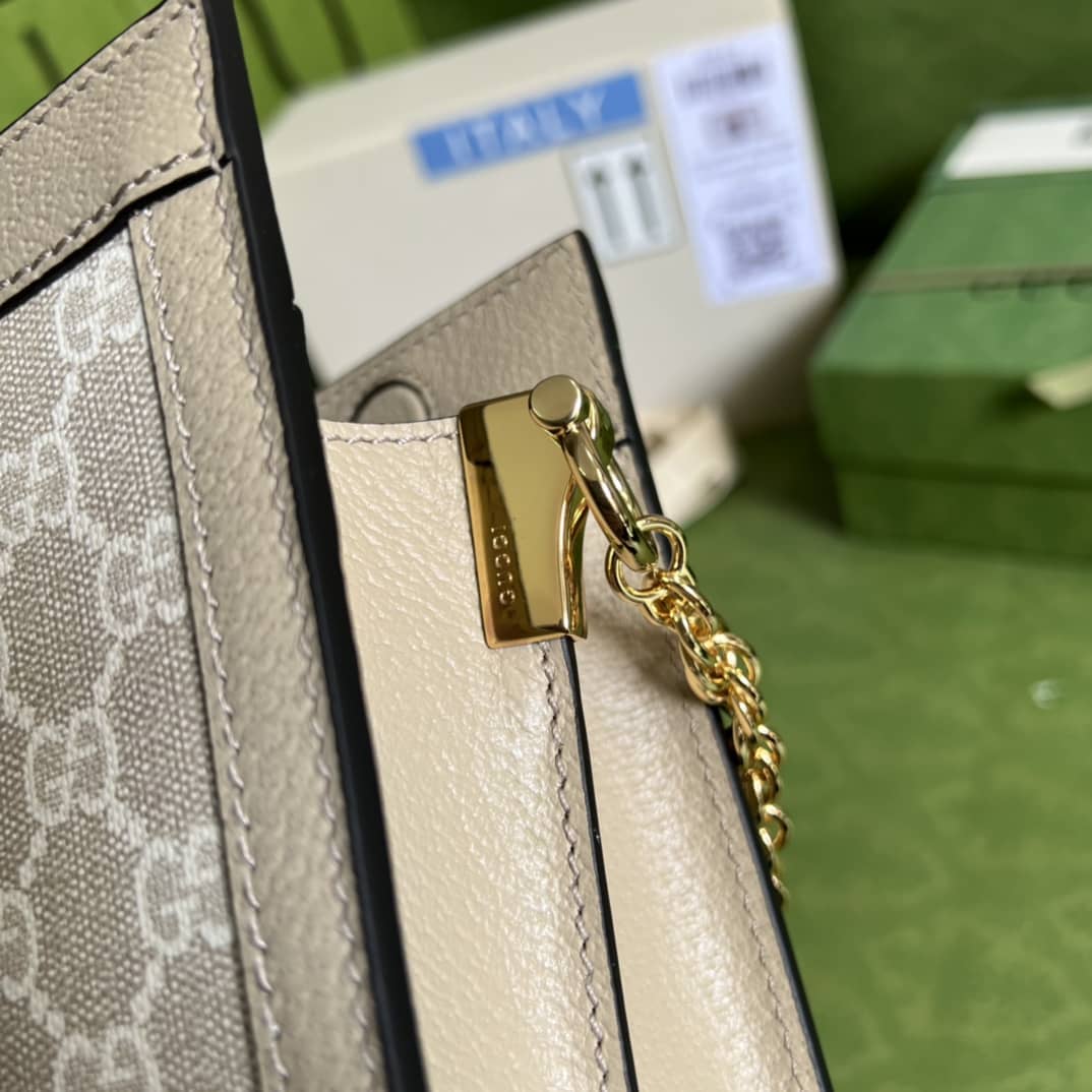Gvc*1 Ophidia GG Small Shoulder Chain Crossbody Bag 503877 Replica