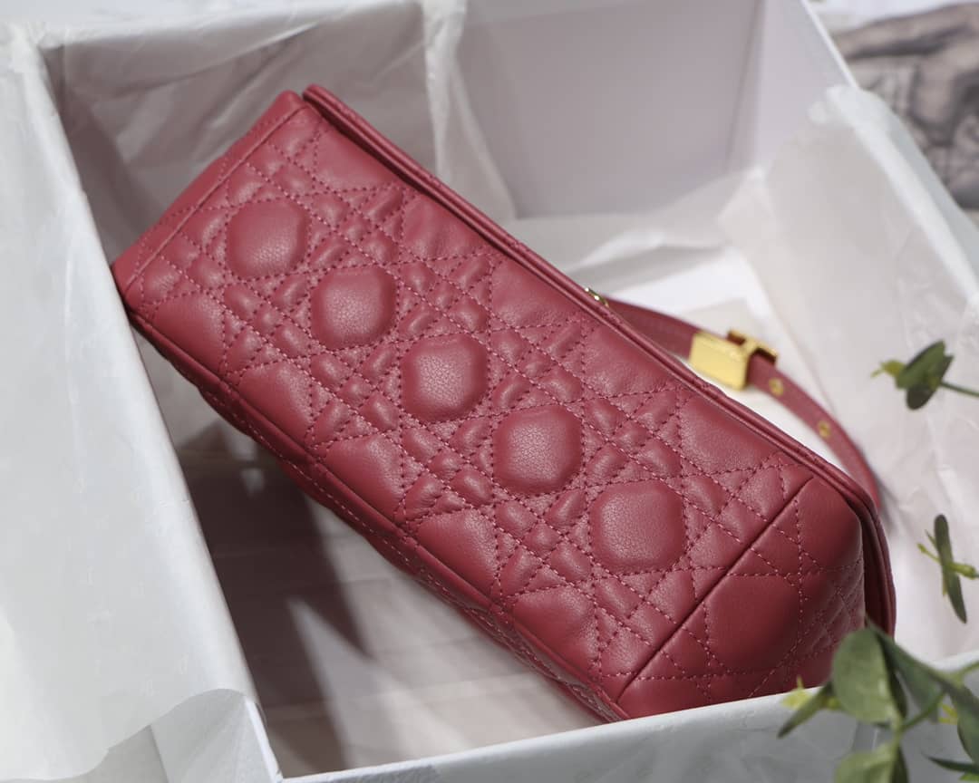 D10r Dupe Caro Bag