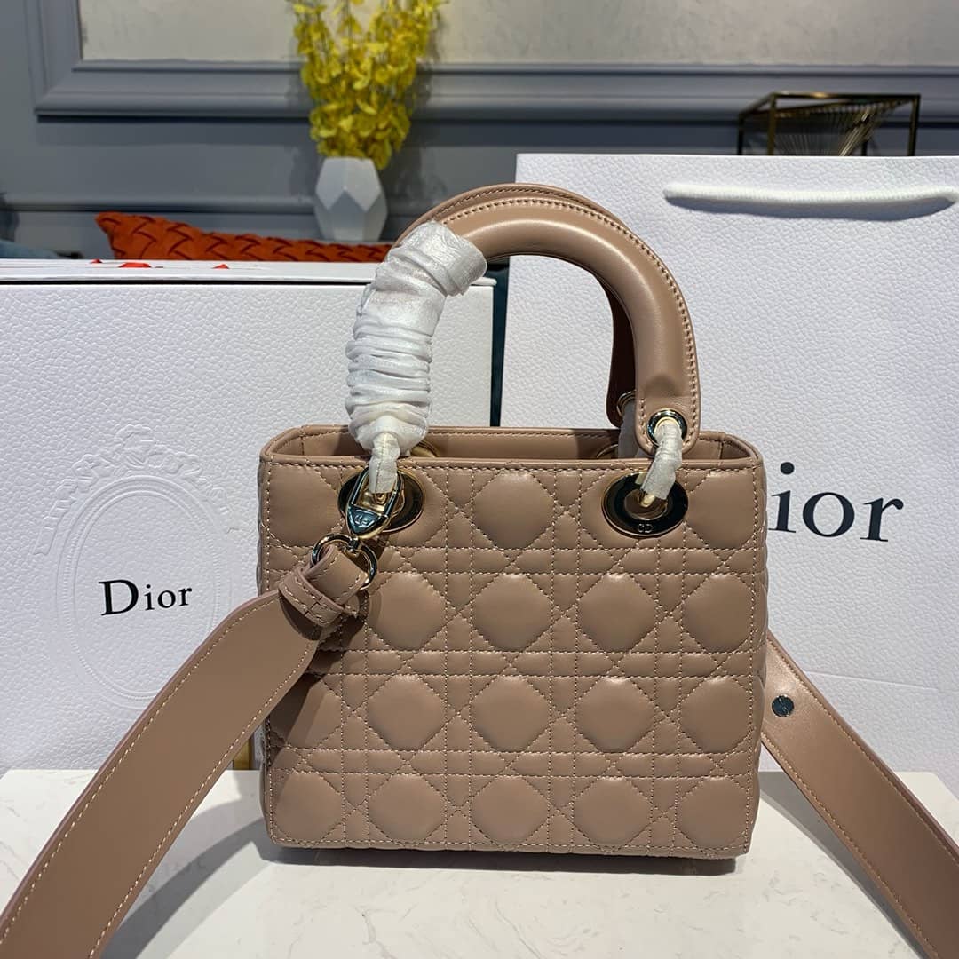 Chr1st1an D10r Lady D10r 20CM Replica Bag