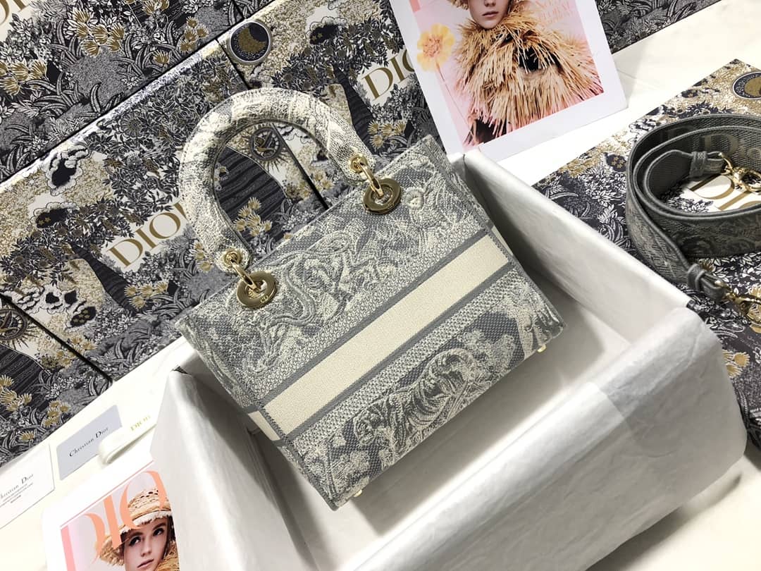 Lady D10r Dupe 24CM Replica Bag