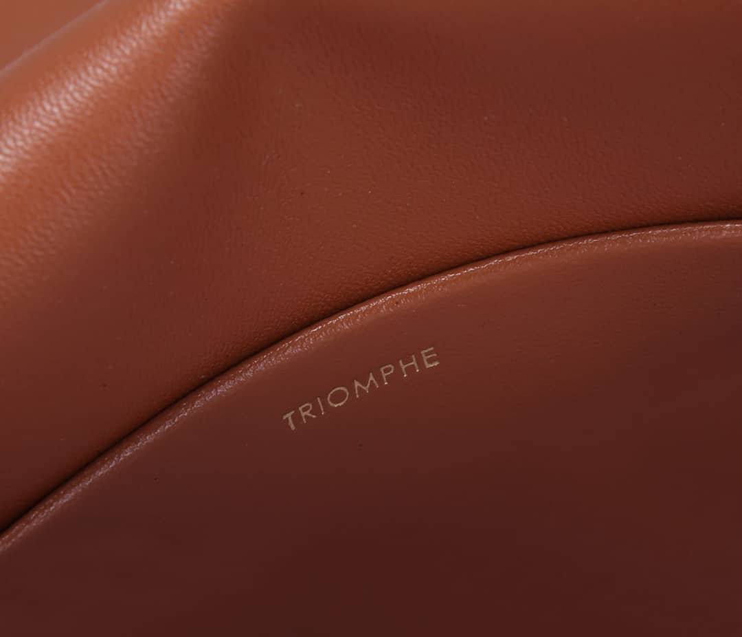 Ce1i*e Bag Dupe Triomphe Teen 18.5cm
