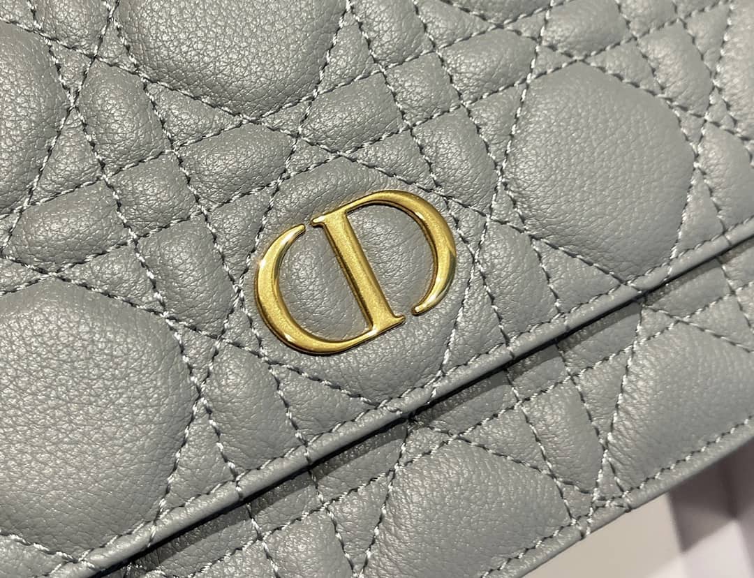 Chr1st1an D10r Caro Chain Belt Replica Pouch