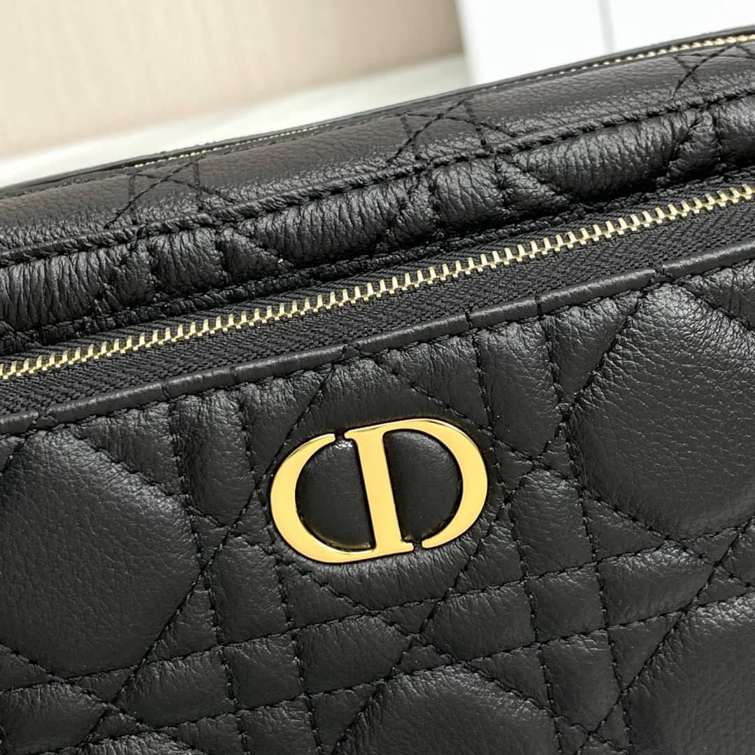 Chr1st1an D10r Caro Double Calfskin Pouch