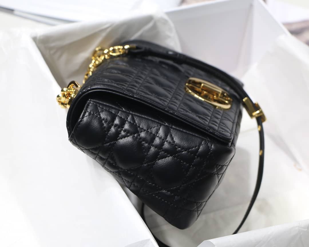 Chr1st1an D10r Caro Replica Bag