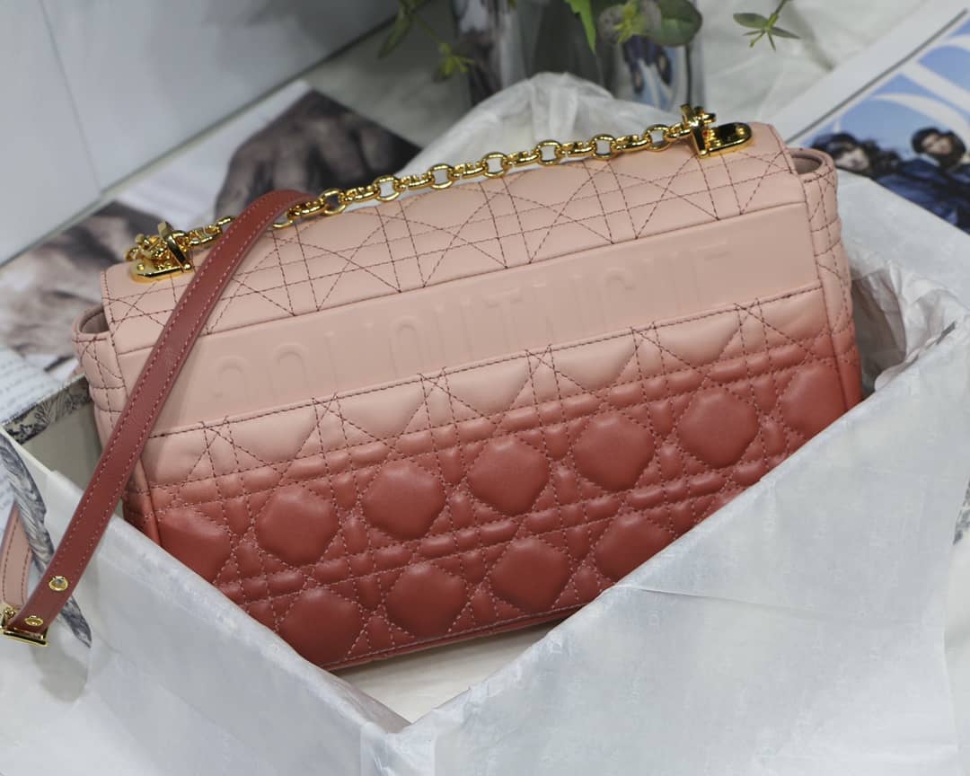 Chr1st1an D10r Caro Replica Bag
