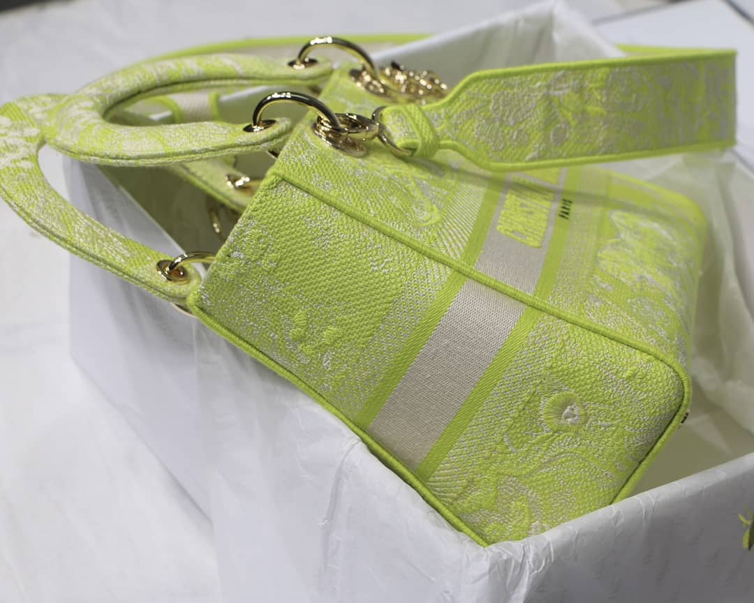 Lady D10r Dupe 24CM Paisley Embroidery Lady D-Lite Bag