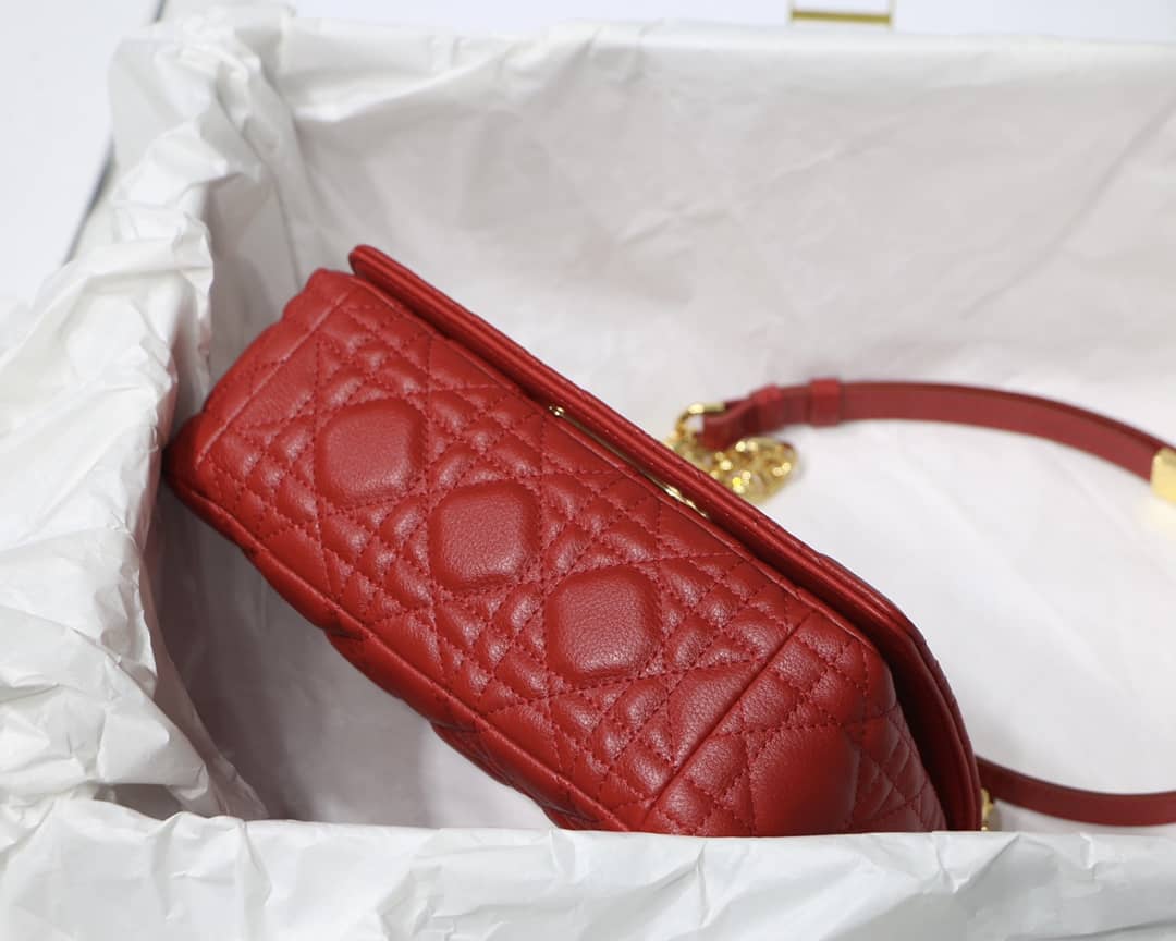 Chr1st1an D10r Caro Replica Bag