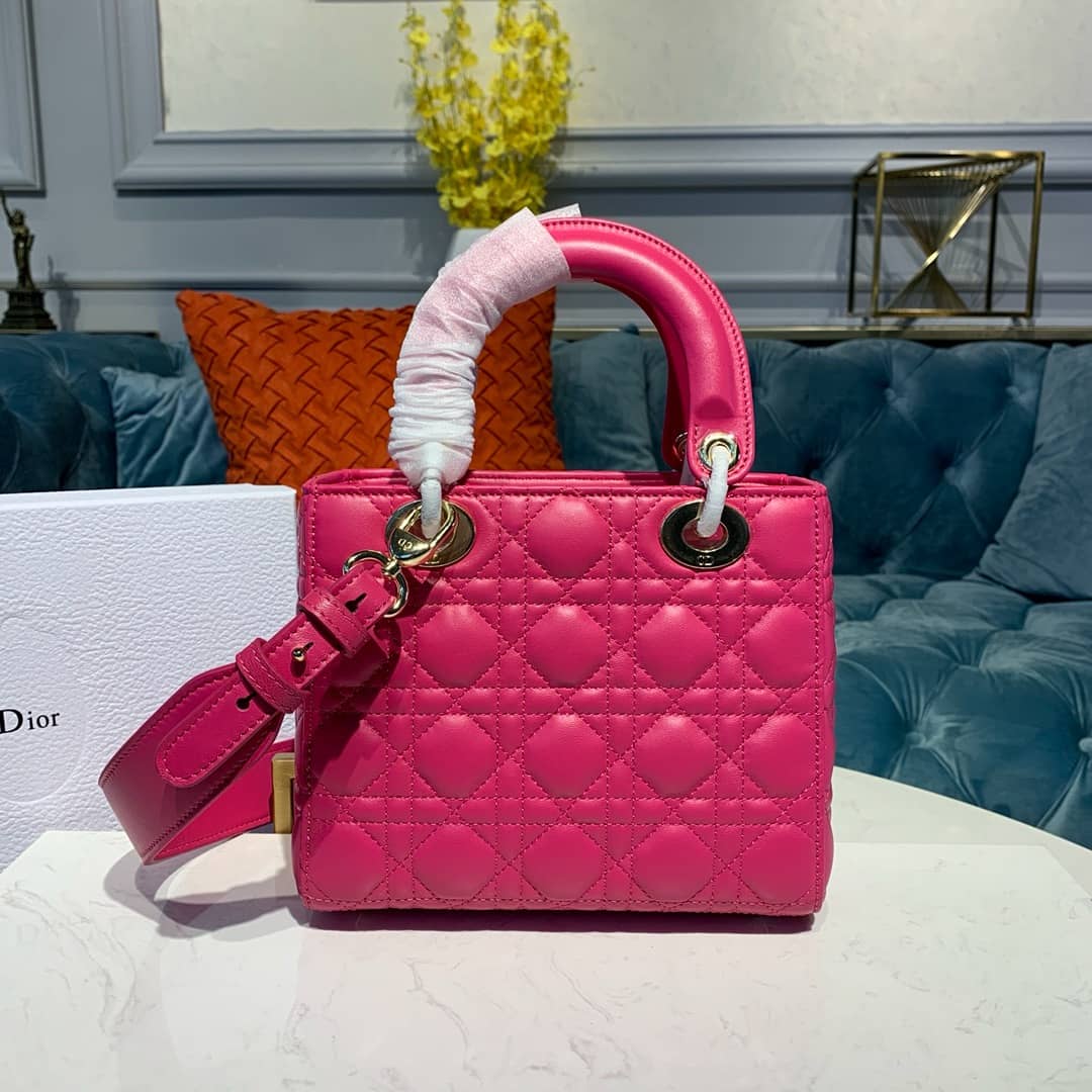 Chr1st1an D10r Lady D10r 20CM Replica Bag