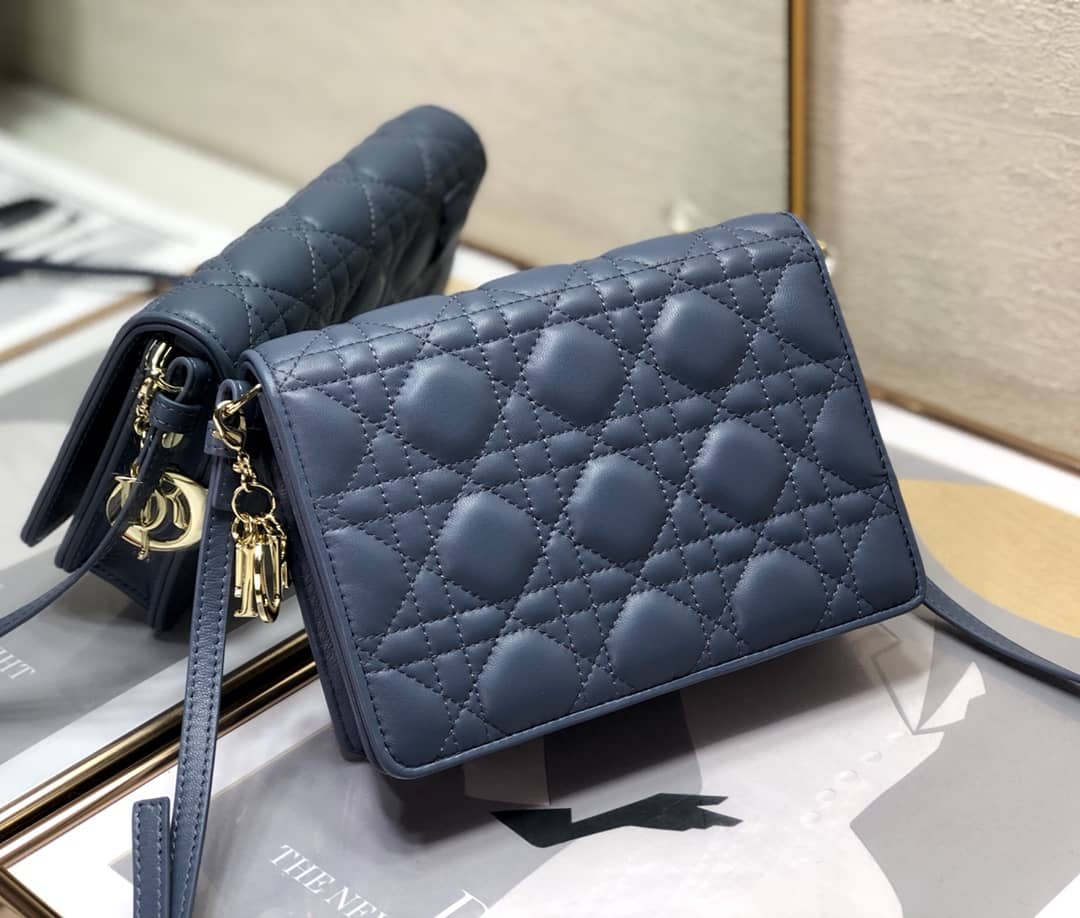 Lady D10r Dupe Cannage Calfskin Pouch