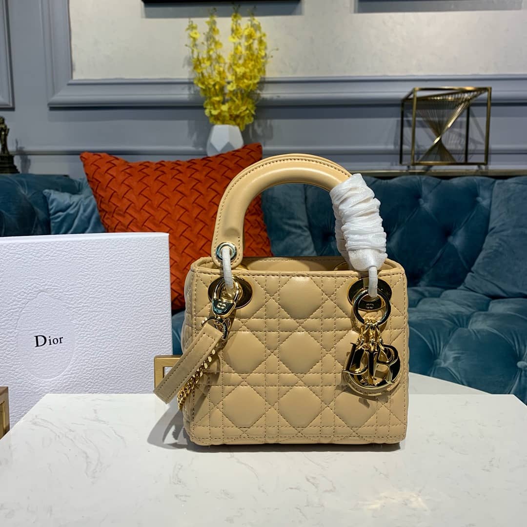 Chr1st1an D10r Lady D10r 17CM Replica Bag