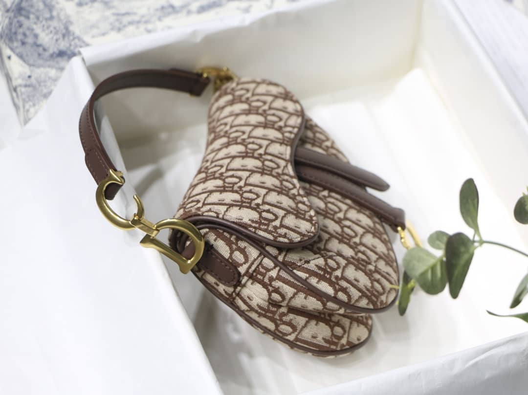 Chr1st1an D10r Replica Saddle Bag
