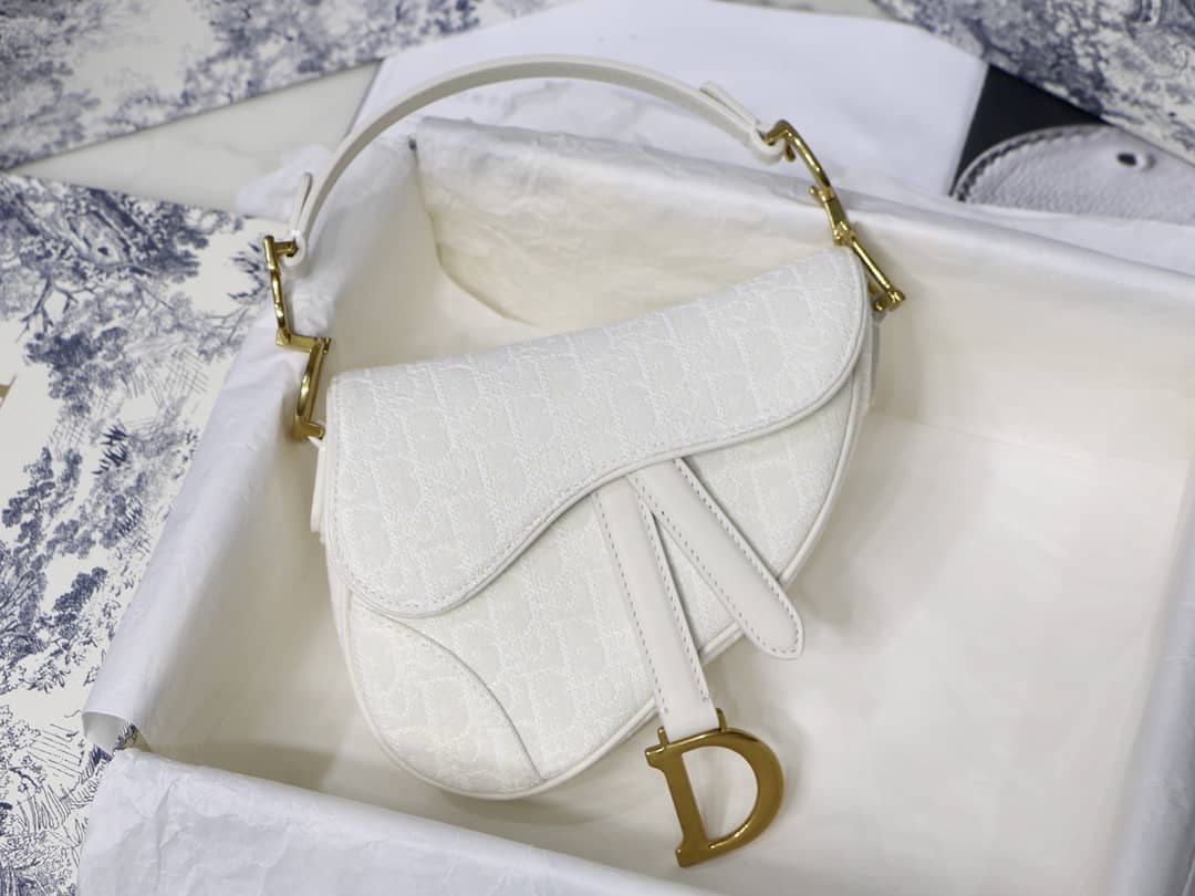 Chr1st1an D10r Replica Saddle Bag