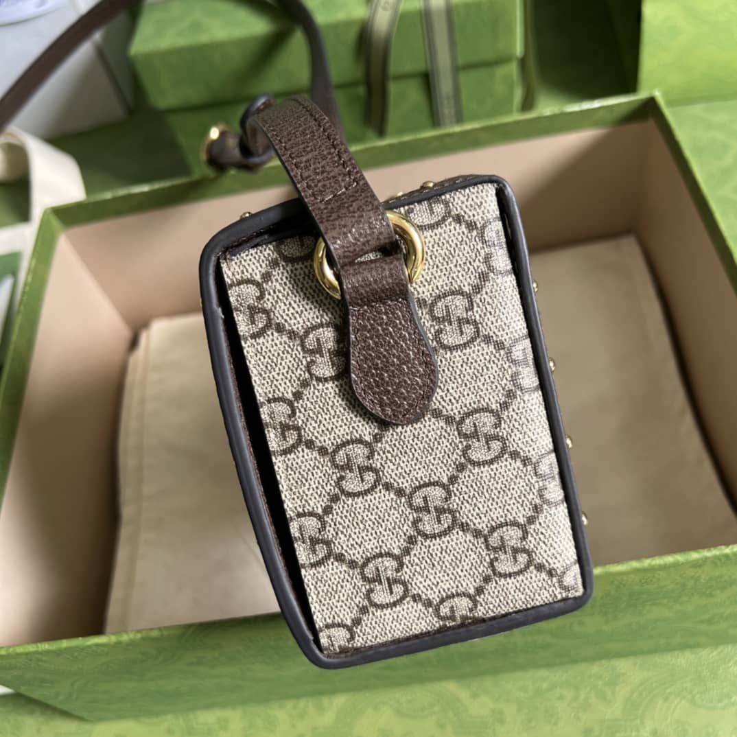 Gvc*1 GG Svp*me Mini Bag Replica 678460