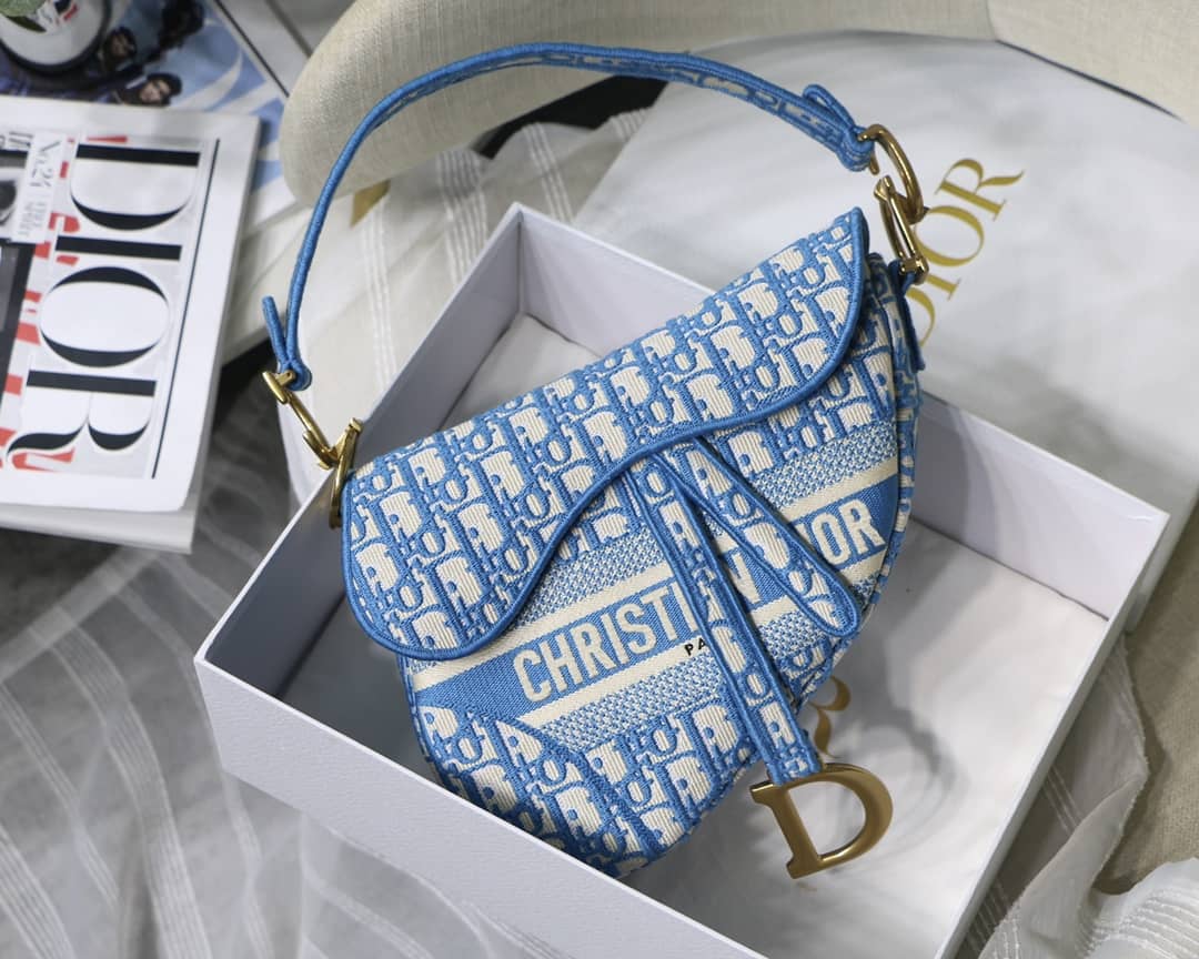 Chr1st1an D10r Saddle 25.5CM Replica Bag