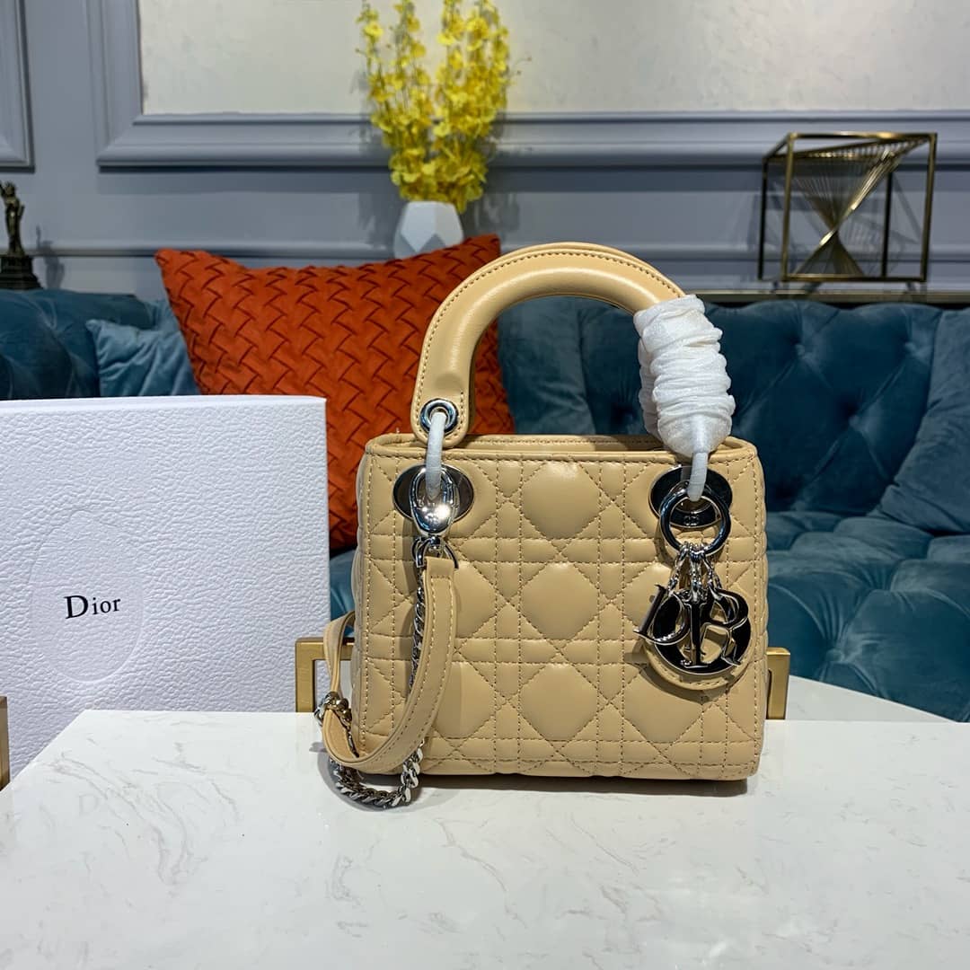 Chr1st1an D10r Lady D10r 17CM Replica Bag