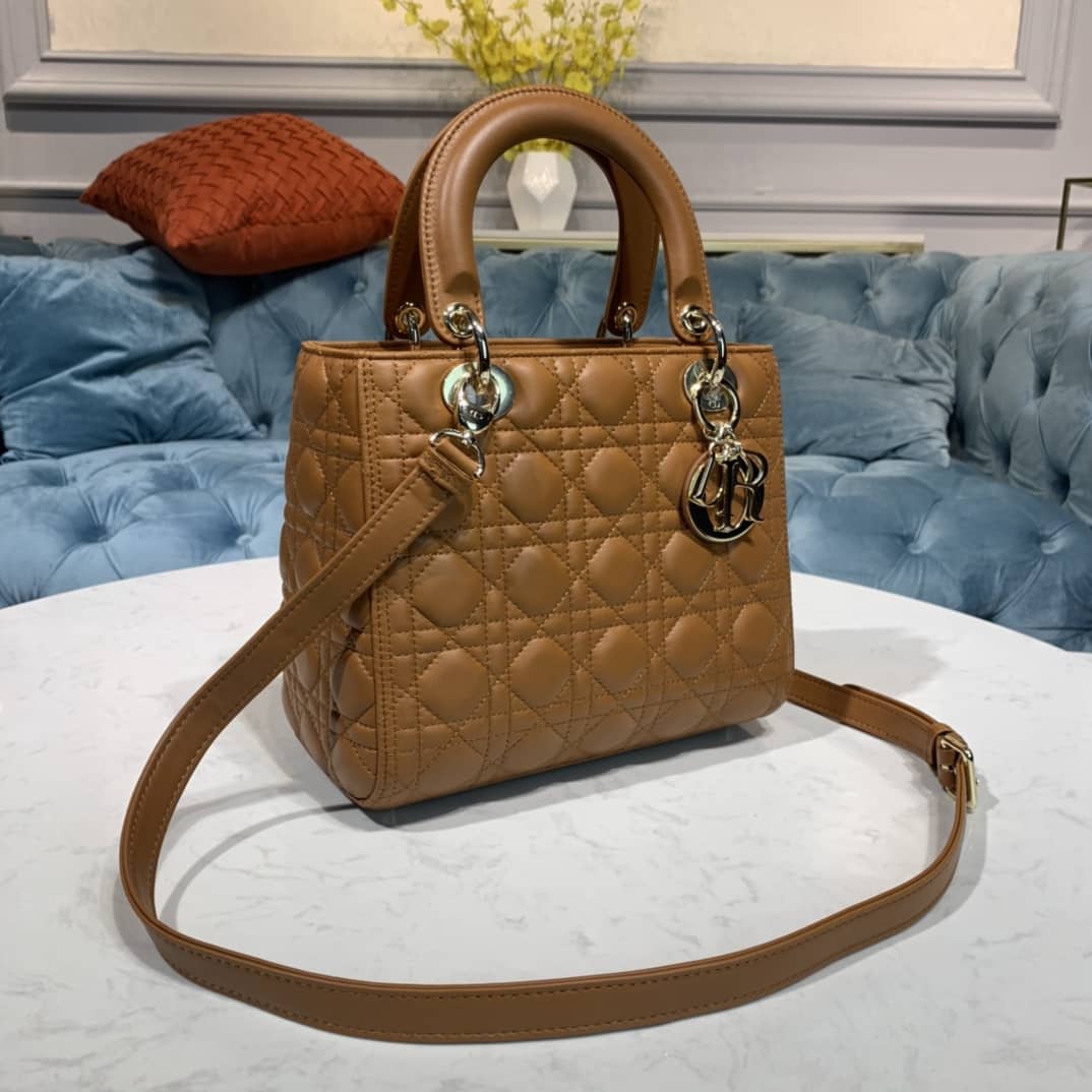 Lady D10r Dupe 24CM Replica Bag(Cola)