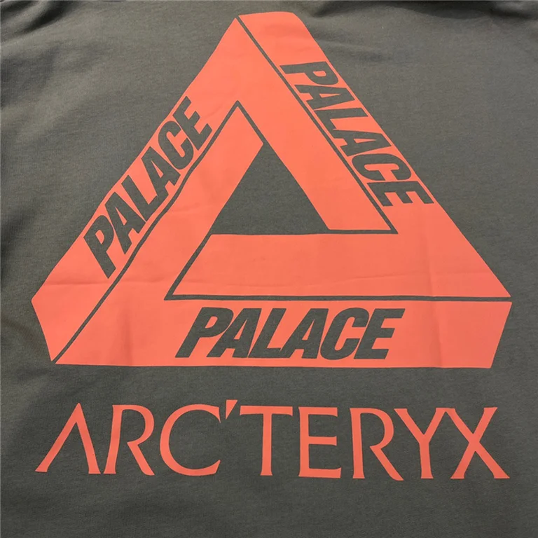 Arcteryx Down Hoodie