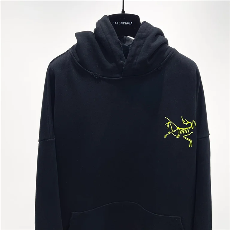 Arcteryx Down Hoodie