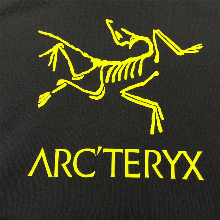 Arcteryx Down Hoodie