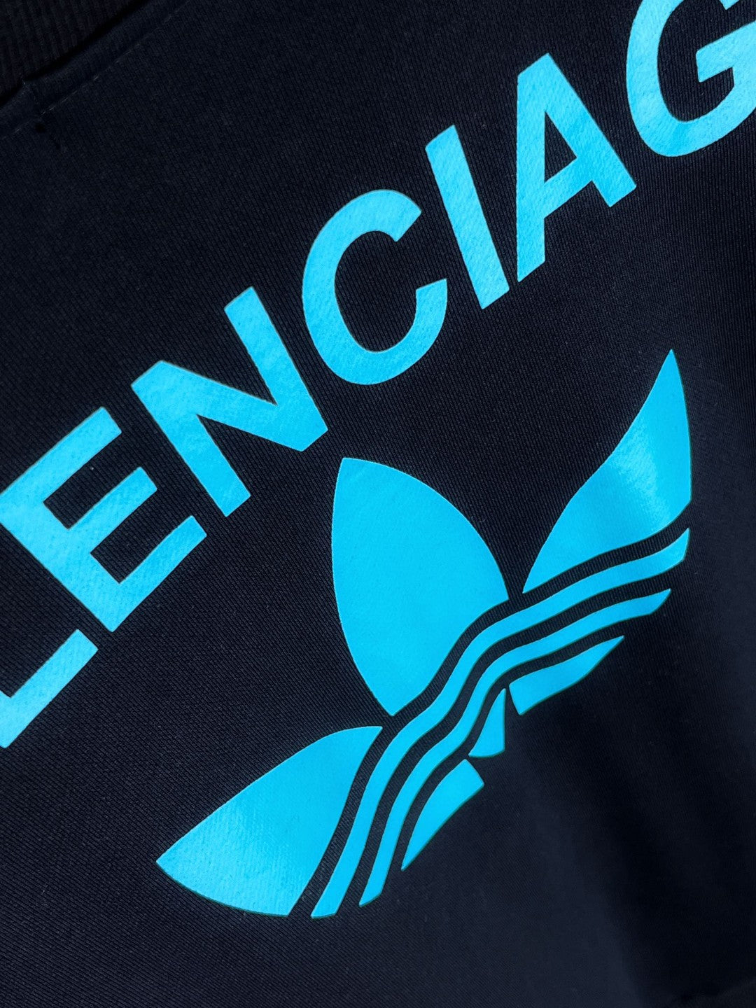 Ba1en*iaga Sweatshirt