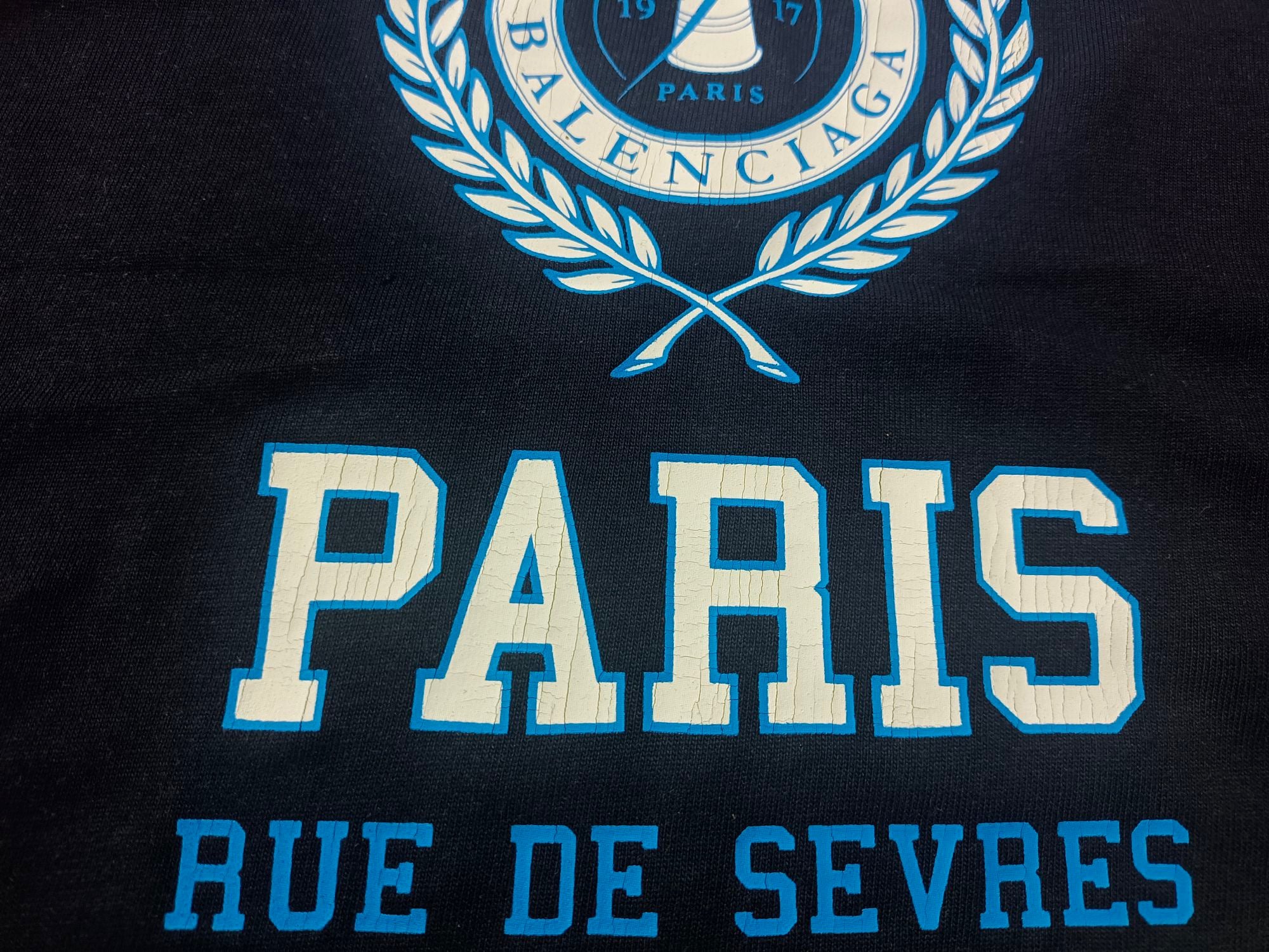 Ba1en*iaga T-shirt
