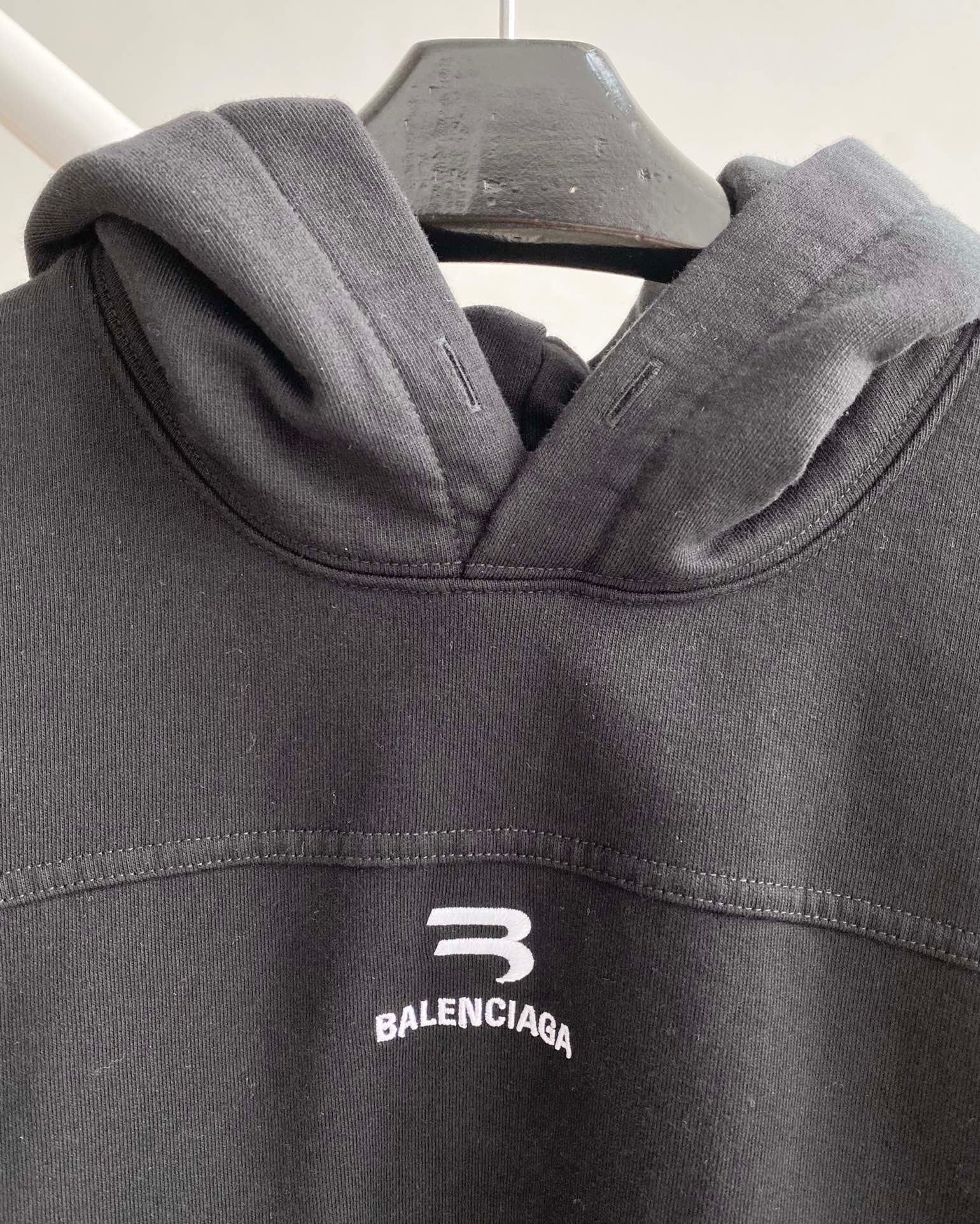 Ba1en*iaga Hoodie