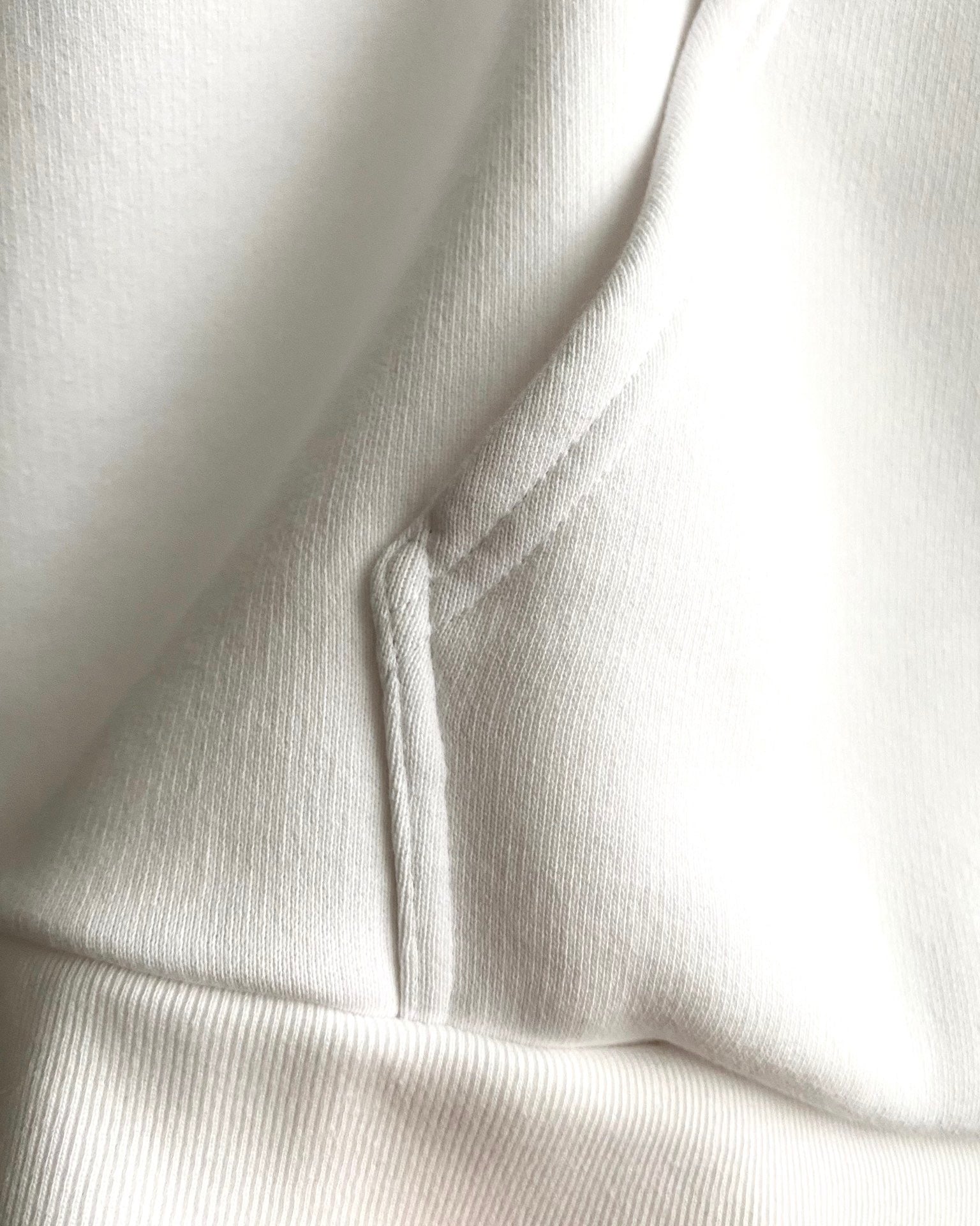 Ba1en*iaga Hoodie