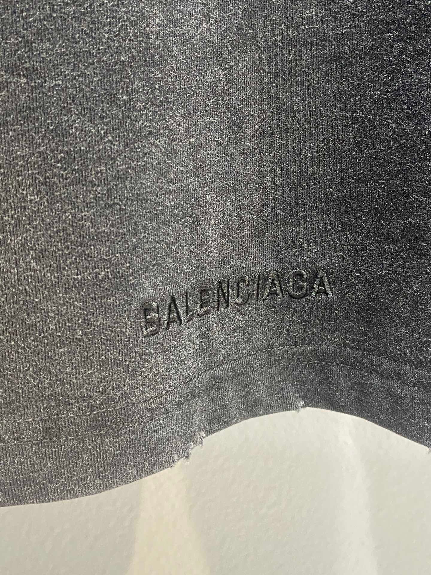Ba1en*iaga T-shirt