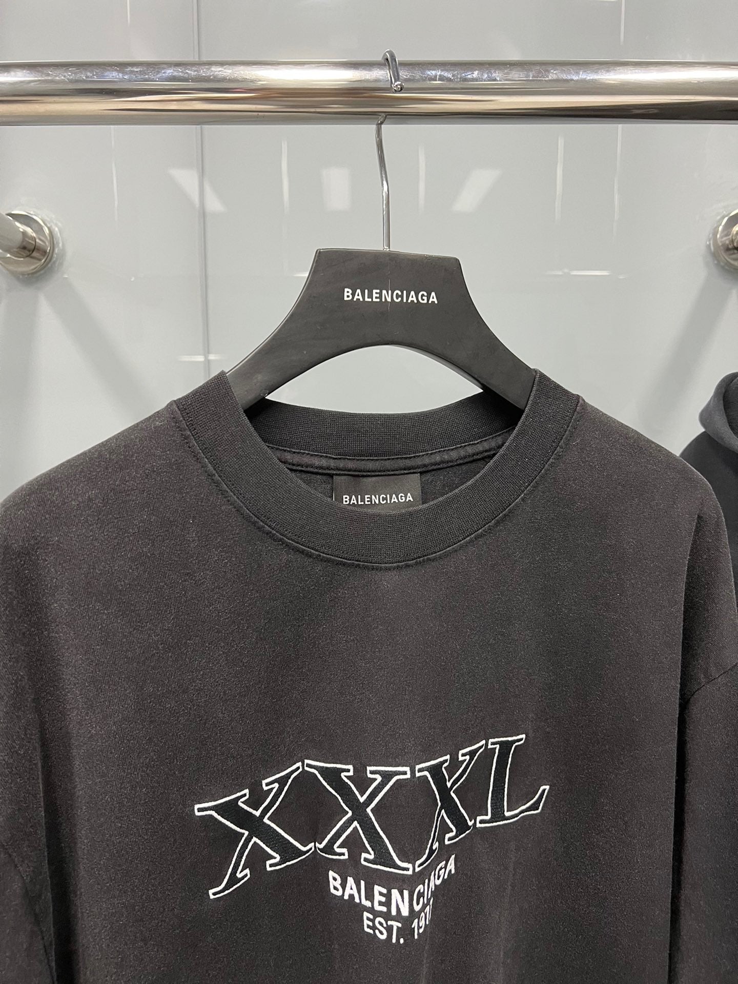 Ba1en*iaga T-shirt