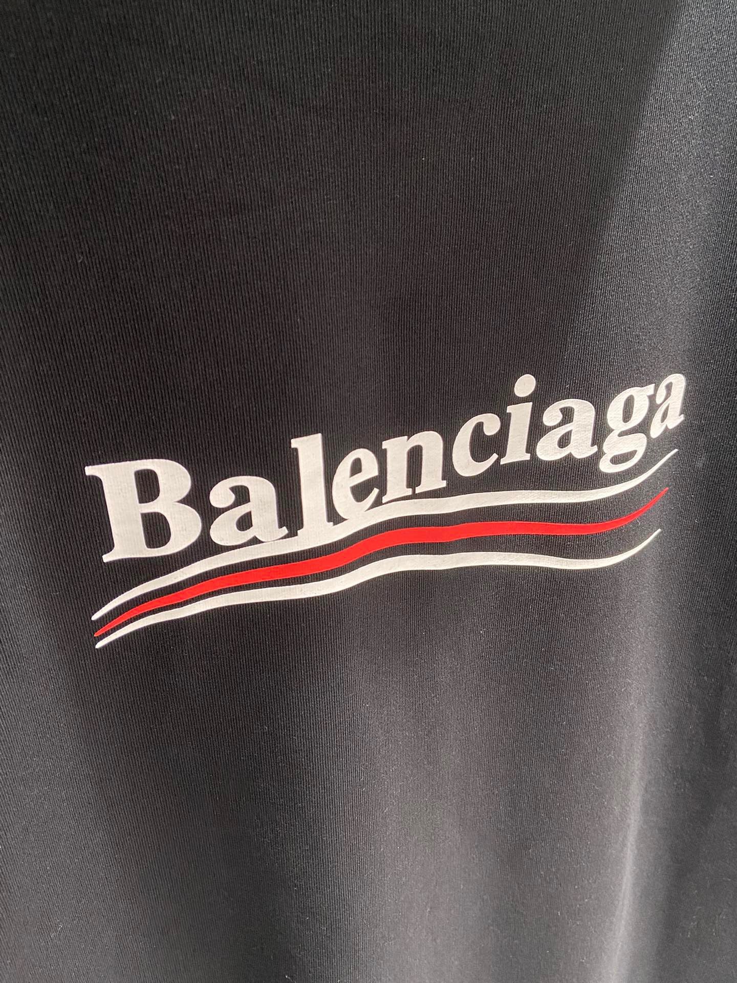 Ba1en*iaga Hoodie