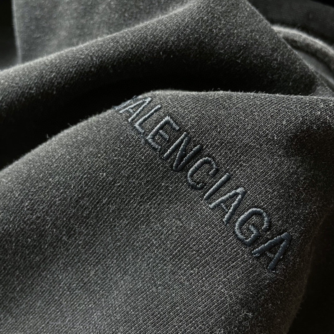 Ba1en*iaga Hoodie