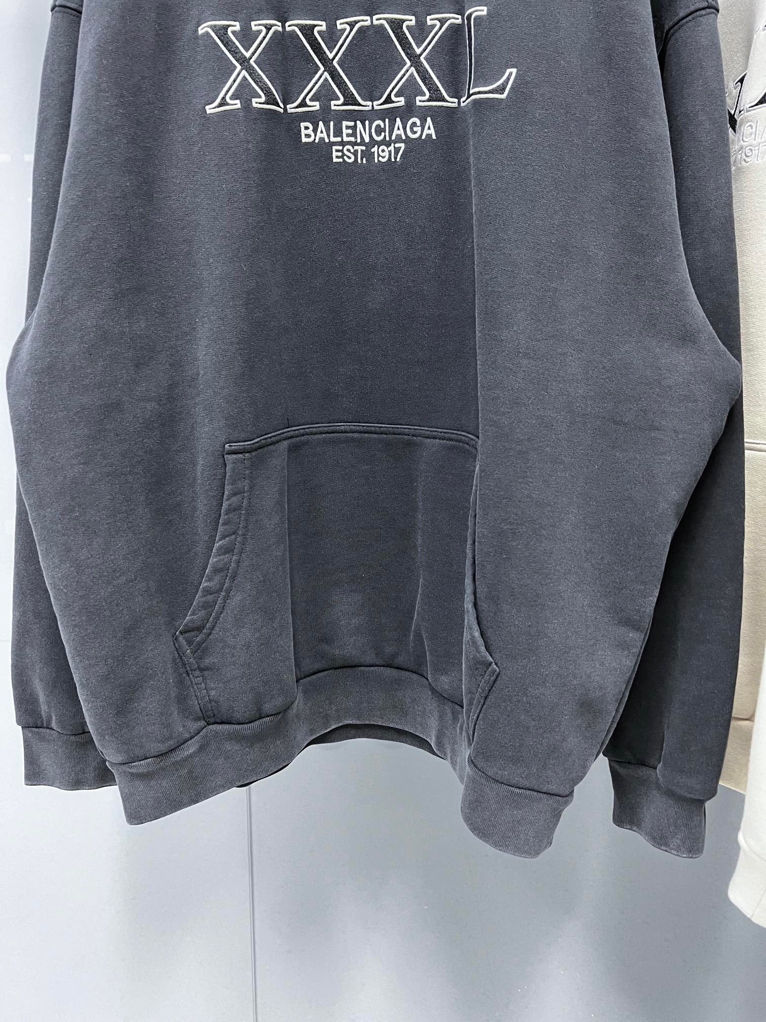 Ba1en*iaga Hoodie
